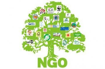 ngo